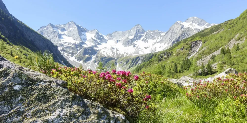Transfert de malade près de Alpe d'Huez